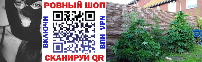 Купить Бошки Шишки  Alpha PVP  ГАШИШ  Меф  Кокаин  Нарткала